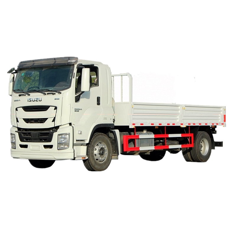 ISUZU Cargo Truck