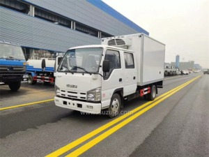 Isuzu Double Cabin 3t freezer box truck photo