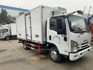 Isuzu ELF frozen 3mt truck photo