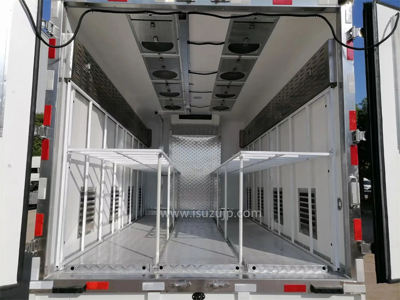 Isuzu live chick transport vehicle box interior picture