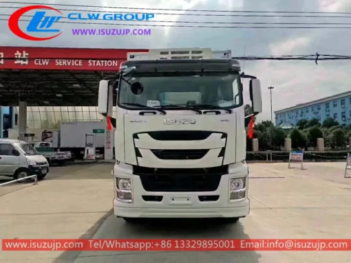 12 lastik ISUZU GIGA 30 tonluk donmuş kamyon