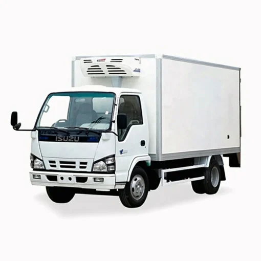 Camion della catena del freddo con scatola refrigerata ISUZU 600P 6ton