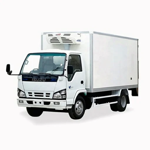 ISUZU 600P 6ton ref box na malamig na chain chain