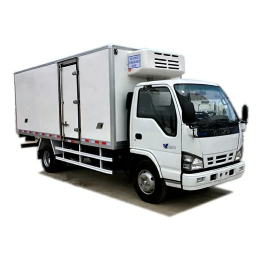 ISUZU 600P vaccine cold chain delivery sasakyan