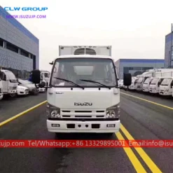 ISUZU Double cabin small freezer trucks