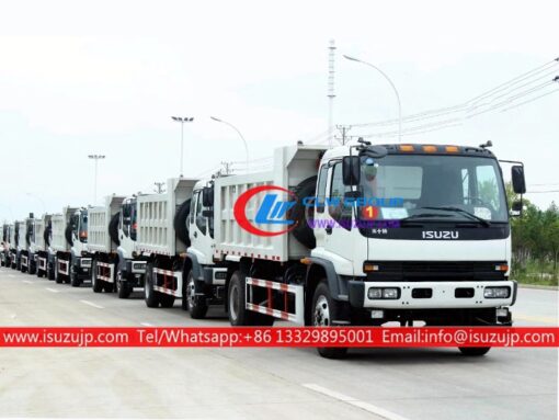 Volquete del camión volquete de ISUZU FTR 12cbm