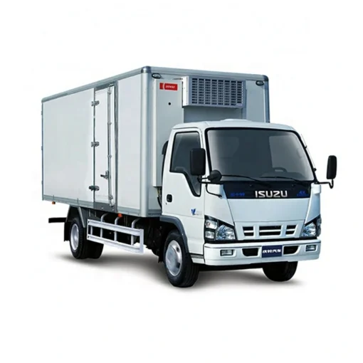 ISUZU NKR caminhão baú refrigerador de 5 toneladas para carne e peixe