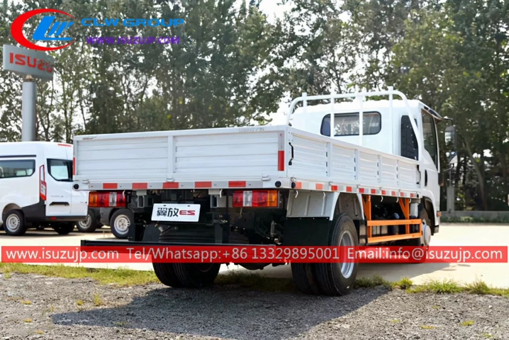 ISUZU small lorry cargo