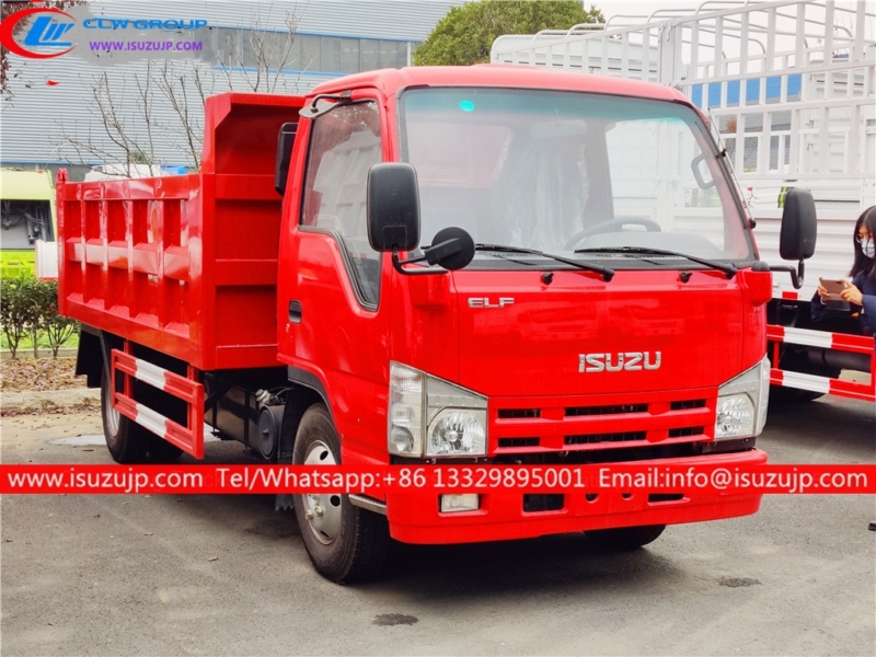 Isuzu ELF 5m3 mini dump truck