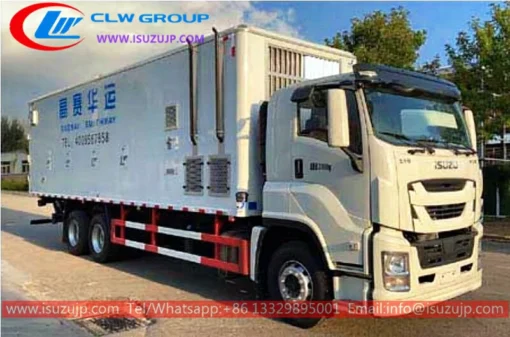 6x4 ISUZU GIGA vehicles for carrying day old chicks