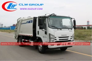 ISUZU M100 bin lorry for sale in Benin