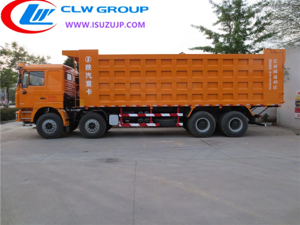 12 wheel Shacman big dump trucks Mongolia