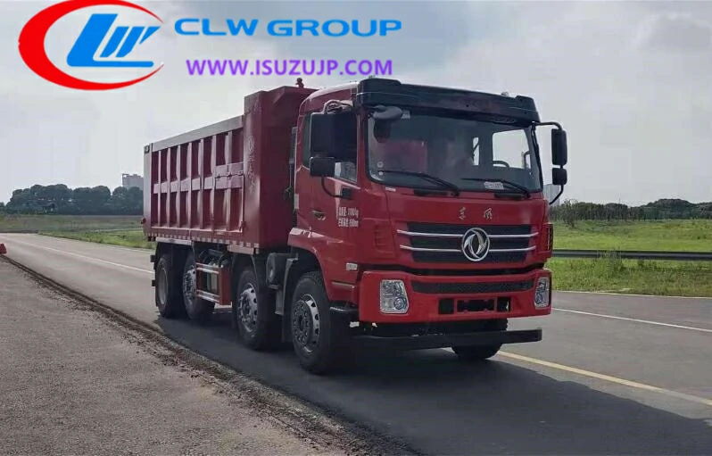 4x6 Dongfeng freightliner dump truck for sale Zimbabwe