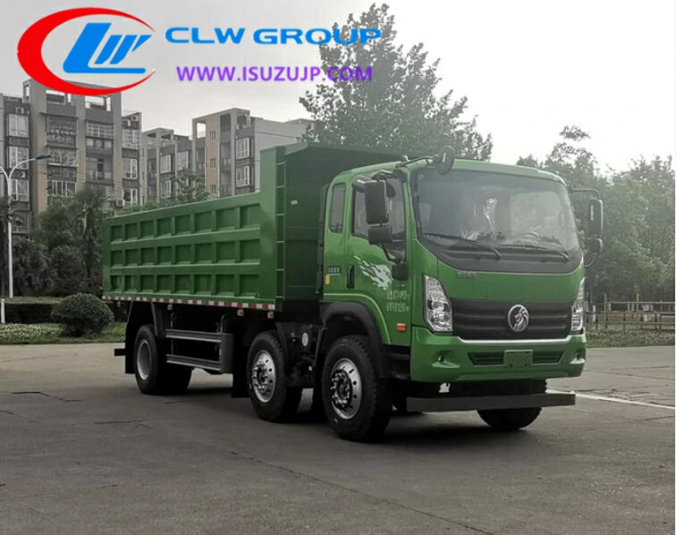 CDW 8 tyre hydraulic dump truck Botswana