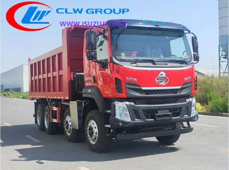 Chenglong huge construction truck Liberia