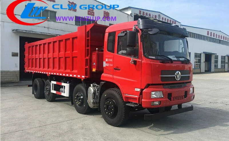 China 12 wheel heavy duty dump truck Niger