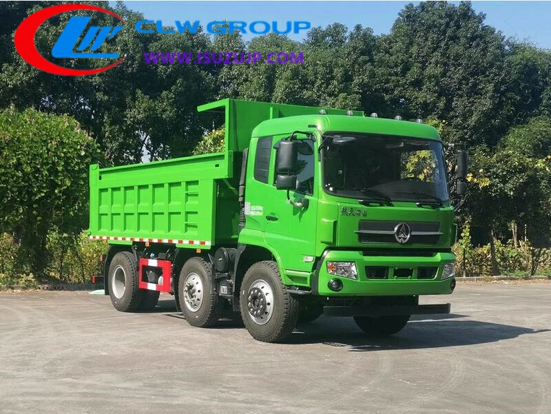 Hermano plantador tornillo China nuevos camiones volquete de 8 ruedas a la venta en Gabón