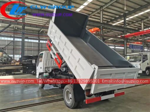 Isuzu 3cbm custom dump truck ไนจีเรีย