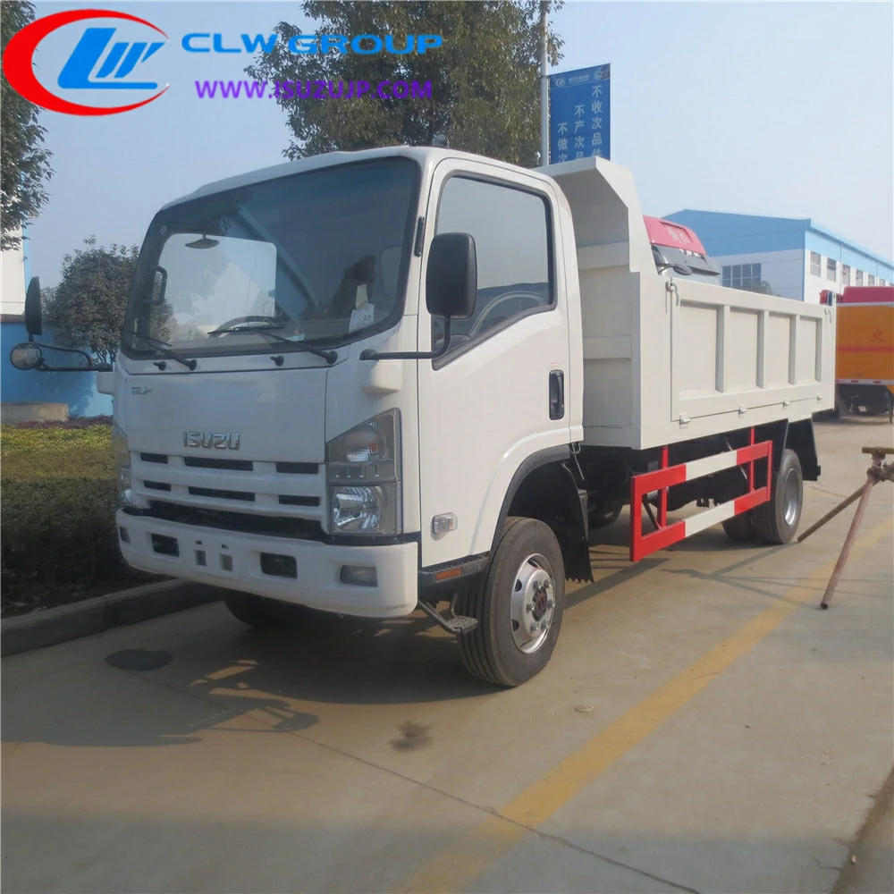 Isuzu Npr 8 ton dump truck for sale Mexico