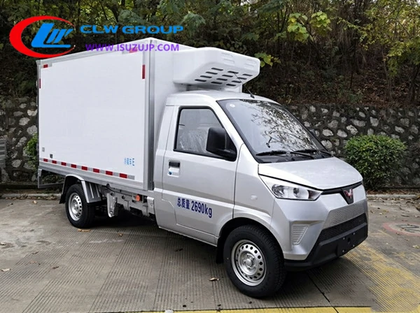 SGMW mini electric refrigerated truck