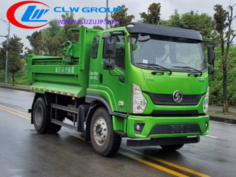 Shacman 10 ton dump truck Malaysia
