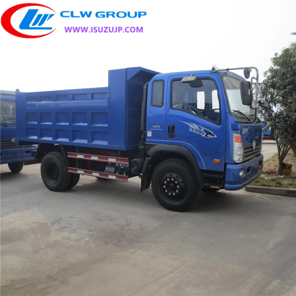 Sinotruk 6 wheeler dumper price Bahamas