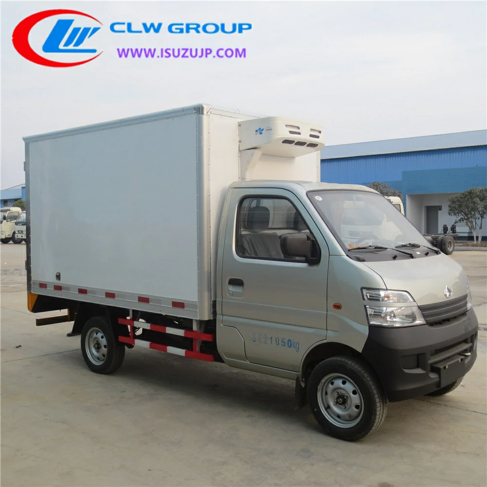 Chang An mini refrigerator truck Egypt