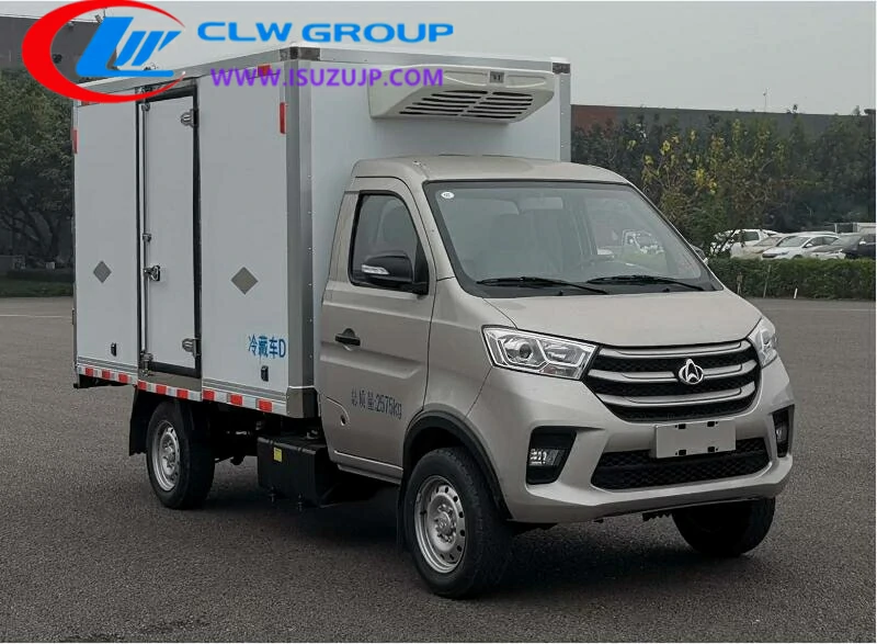 ChangAn 4 wheel small reefer truck Nigeria