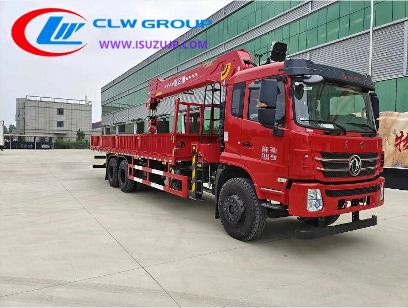 Dongfeng 12T truck mobile crane Lesotho