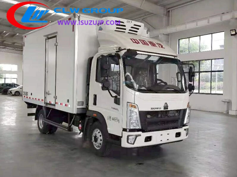 HOWO 3T freezer lorry Mozambique
