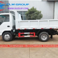 Isuzu 3 cubic meters quarry truck