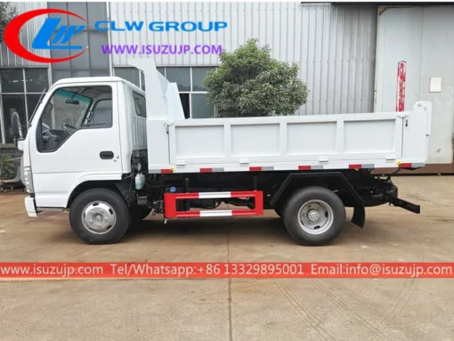 Isuzu 3 cubic meters quarry truck