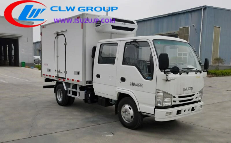 Isuzu NHR mini freezer lorry Indonesia