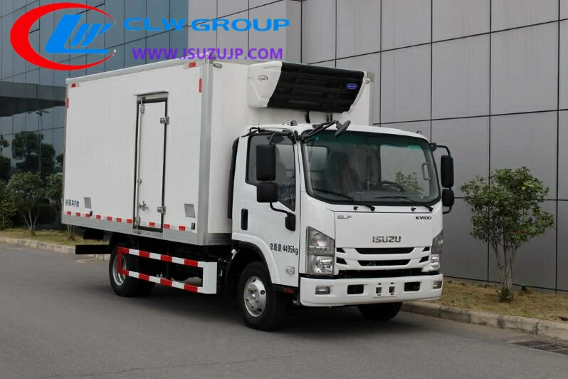 Isuzu NLR mini reefer van Malaysia