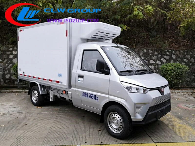 Wuling electric freezer van Dominica