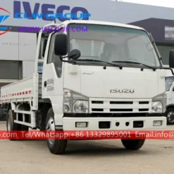 ISUZU 3 tonne lorry truck for sale