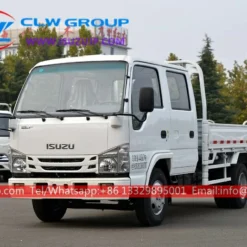 ISUZU Double cabin light cargo truck