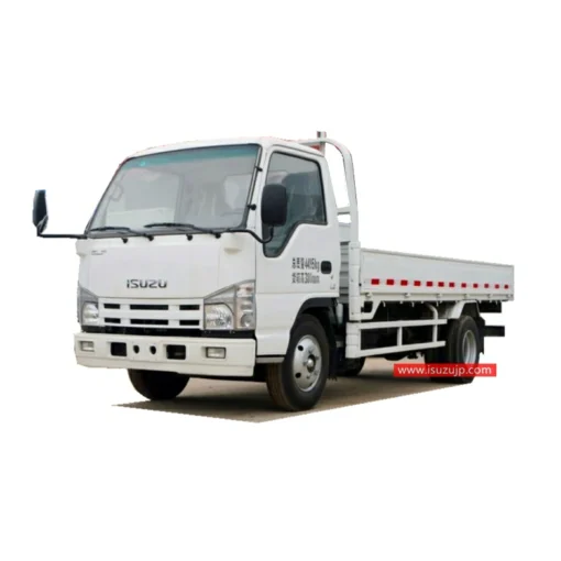 ISUZU NHR 3 Tonnen LKW zu verkaufen