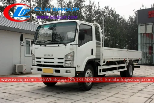 ISUZU NPR 8 ton cargo lorry