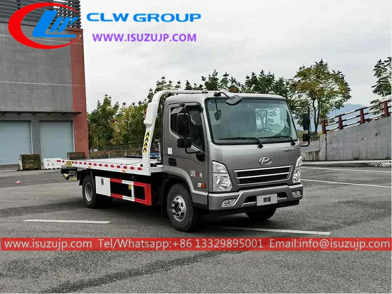 Hyundai 3 ton tow truck cost Turkey