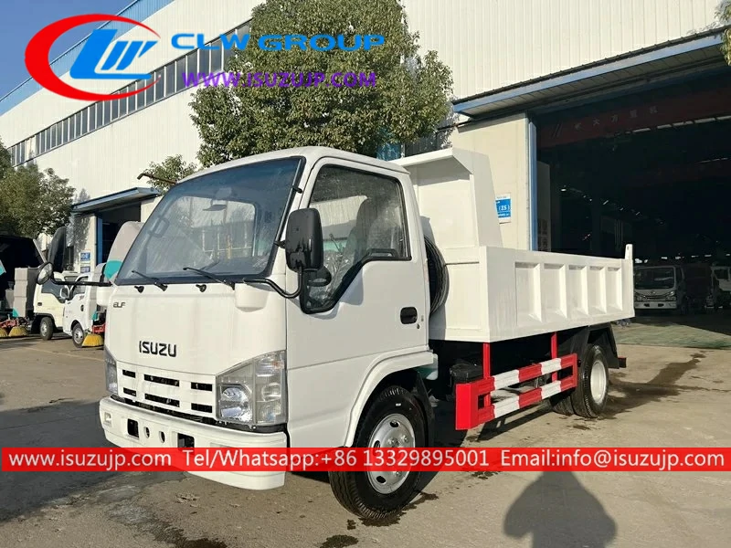 4x4 Isuzu ELF mini dump truck