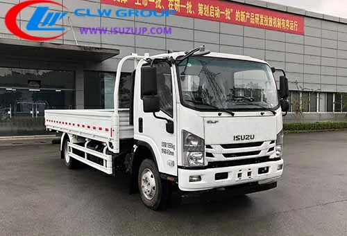 Isuzu QL1110ANLA cargo truck