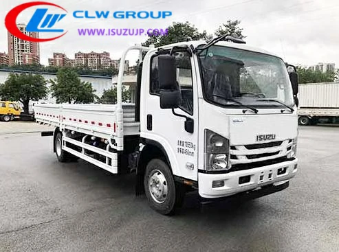 Isuzu QL1110ANMA cargo truck for sale